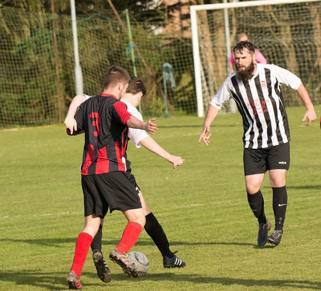 乐部而言 乐部而言