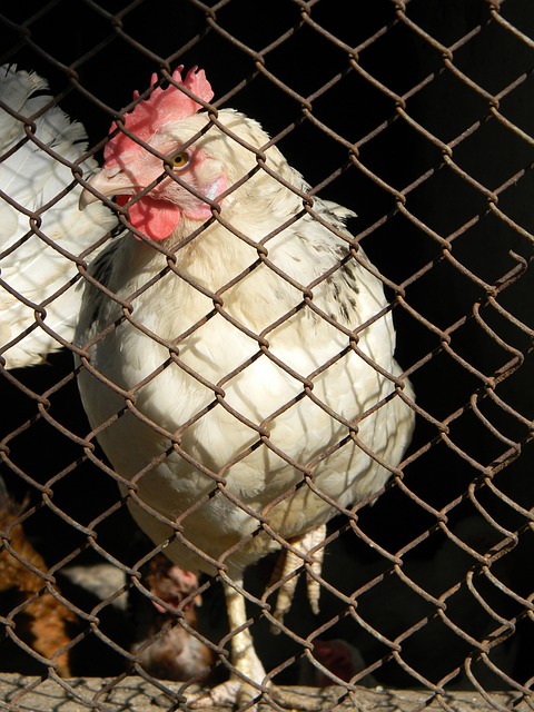 的人完全没 的人完全没