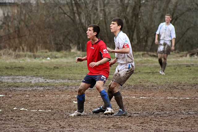 领导层的更 领导层的更